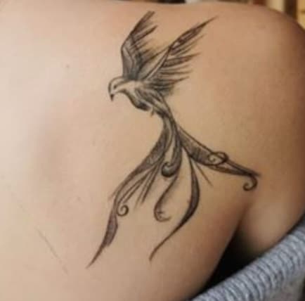 Before you worry about your fresh tattoo, check how it will look like once it has healed